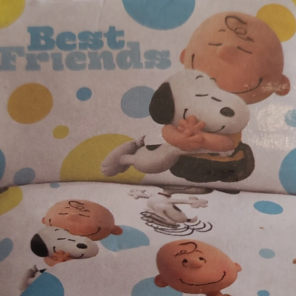 Blue Sky The Peanuts Movie Twin Sheet Set Woodstock Charlie Brown Snoopy Single